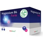 Moje lékárna Magnesium B6 Forte 100+20 tablet – Hledejceny.cz