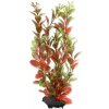 Akvarijní rostlina I--Z Tetra rostlina Red Ludwigia 23 cm