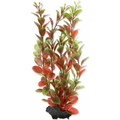 Tetra rostlina Red Ludwigia 23 cm – Zboží Mobilmania