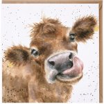Přání Wrendale Designs "Mooooo", 15x15 cm - Kráva – Hledejceny.cz