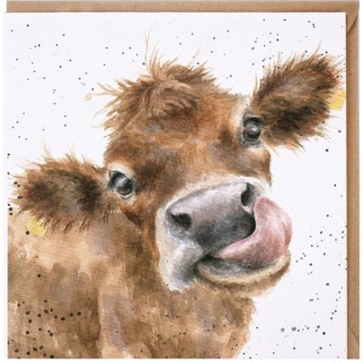 Přání Wrendale Designs "Mooooo", 15x15 cm - Kráva – Hledejceny.cz