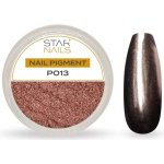 Starnails Nail Art zdobení pigment P013 – Hledejceny.cz