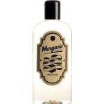 Morgan's Spiced Rum vlasové tonikum 250 ml – Hledejceny.cz