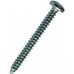Vrut do plechu 2,9 x 6,5 půlkulatá plochá hlava DIN 7981 F Met-Vis 8052906-2 – Hledejceny.cz