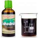 Bylinné kapky Jahodník obecný list tinktura 50 ml – Hledejceny.cz