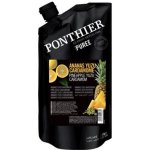 Ponthier Pyré ovocné ananas Yuzu Kardamon 1000 g – Zboží Dáma