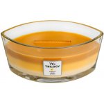 WoodWick Trilogy Fruits of Summer 453,6 g – Zboží Mobilmania