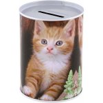 Teddies Pokladnička zvířata plechová 7,5x10cm 5 druhů – Zboží Mobilmania