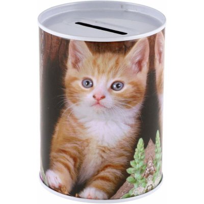 Teddies Pokladnička zvířata plechová 7,5x10cm 5 druhů – Zboží Mobilmania