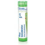 RHUS TOXICODENDRON POR 5CH GRA 4G – Hledejceny.cz