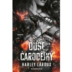 Duše čarodějky – Hledejceny.cz