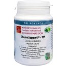 Giovanni Maciocia T35 Opora základu Chemo Support 60 tablet