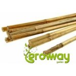 Bambusová tyč 60 cm – Sleviste.cz