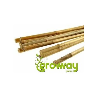 Bambusová tyč 60 cm – Sleviste.cz