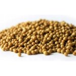 Cellfast Quattro 3/4" 25m – Zboží Dáma