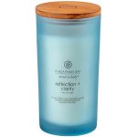 Chesapeake Bay Candle Chesapeake Bay Reflection + Clarity 354 g – Zboží Mobilmania