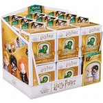 Spin Master Harry Potter Harry Potter mini v rámečku – Hledejceny.cz