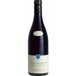Domaine Jean-Jacques Girard Savigny les Beaune Premier Cru Les Lavieres 2023 Červené 13% 0,75 l (holá láhev) – Hledejceny.cz