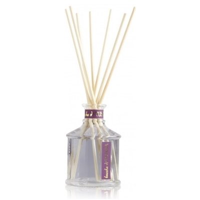 Erbario Toscano Vonný Difuzér Dary Toskánska 100 ml + ratanové tyčinky – Hledejceny.cz