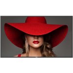 Philips 55BDL4650D – Sleviste.cz