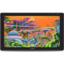 Huion Kamvas 22 Plus