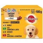 Pedigree Junior kuřecí 12 x 100 g – Hledejceny.cz