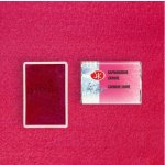 Nevskaya Palitra Akvarelová barva White Nights 12 – Zboží Dáma