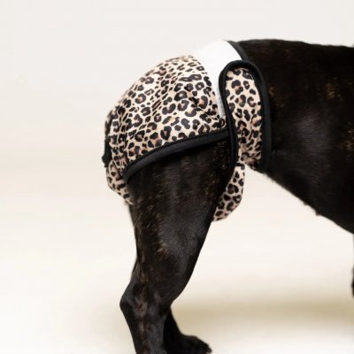 Lou and Co. Hárací kalhotky Leopard Large – Sleviste.cz
