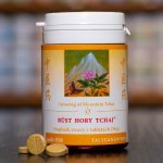 TCM Herbs Růst hory Tchaj 100 tablet – Hledejceny.cz