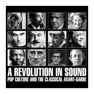 Various - A Revolution In Sound Pop Culture And The Classical Avant-Garde CD – Zboží Mobilmania