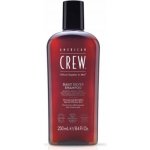 American Crew Daily Silver Shampoo 250 ml – Hledejceny.cz
