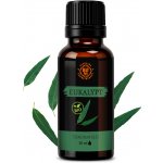 Day Spa BIO 100% Esenciální olej Eukalyptus 30 ml – Hledejceny.cz