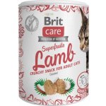 Brit Care Snack Superfruits Lamb Adult 100 g – Zboží Mobilmania