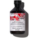 Davines Naturaltech Energizing Shampoo 250 ml – Hledejceny.cz