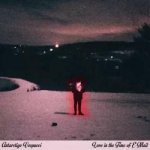 Antarctigo Vespucci - Love in the Time of E-mail CLR LTD LP – Hledejceny.cz