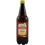 Pivovar Hrádek Karpat světlý ležák 11° 4,5% 1 l (pet) – Sleviste.cz