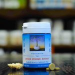 TCM Herbs Ovoce stromu života 100 tablet – Hledejceny.cz