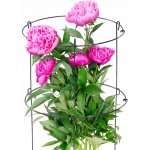 Kovový sloupek Kadax 60 cm pro podporu rostlin – Hledejceny.cz