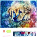 Norimpex Diamantové malování Pes s motýlem 30 x 40 cm – Sleviste.cz