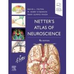 Netters Atlas of Neuroscience – Hledejceny.cz