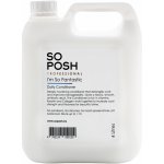 So Posh I´m So Fantastic Kondicionér 4000 ml – Zbozi.Blesk.cz