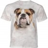Pánské Tričko Pánské batikované triko The Mountain Bulldog béžové