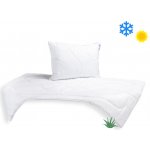 Brotex SET Aloe Vera UNICO 140x200 celoroční 850g 70x90 900g – Zboží Mobilmania