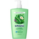 Schwarzkopf Schauma 7 Herbs Freshness bylinný šampon pro normální až mastné vlasy 1000 ml – Hledejceny.cz