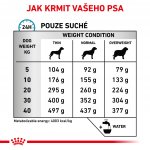 Royal Canin Veterinary Health Nutrition Dog Adult Anallergenic 3 kg – Sleviste.cz