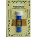 Sugarflair Jedlá prachová barva Ice Blue 7 ml – Zboží Dáma