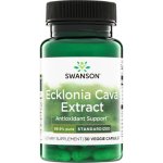 Swanson Ecklonia Cava Extract 53 mg 30 kapslí – Hledejceny.cz