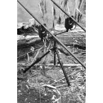 Cygnet Specialist Tripod – Hledejceny.cz