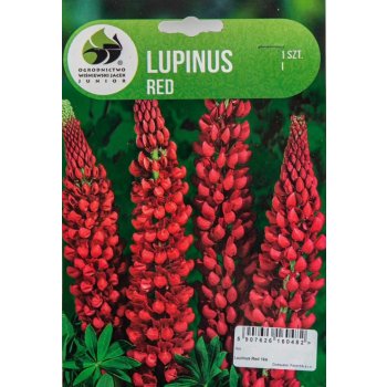 Lupina, Lupinus Red, Jacek, červená, 1 ks