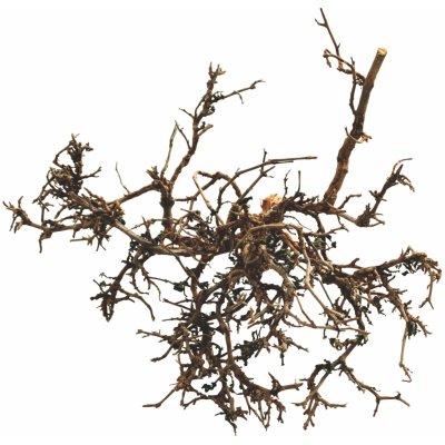 Lucky Reptile Desert Bush přírodní 25-40 cm – Sleviste.cz